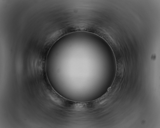 X0000100760126200806191217