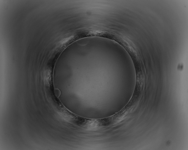 X0000100760127200806191217