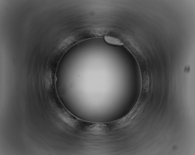 X0000100760128200806191217