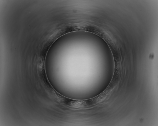 X0000100760129200806191217