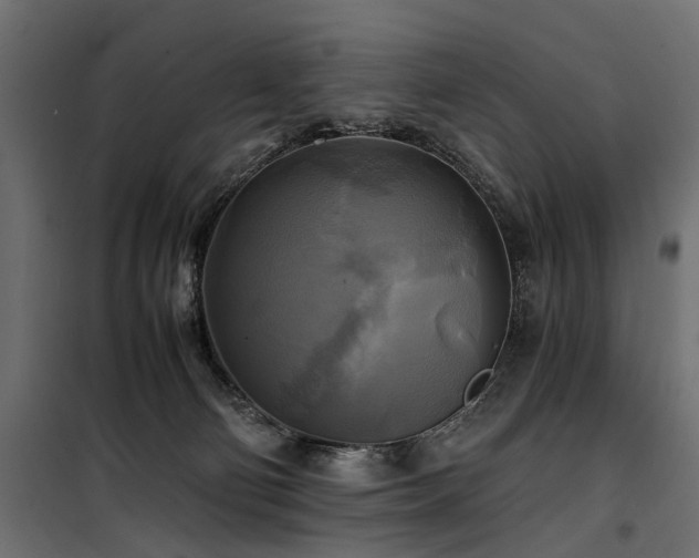 X0000100760130200806191216