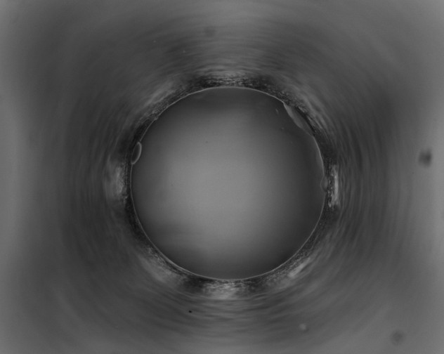 X0000100760131200806191216