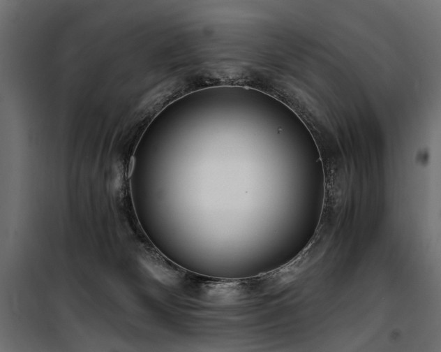 X0000100760132200806191216