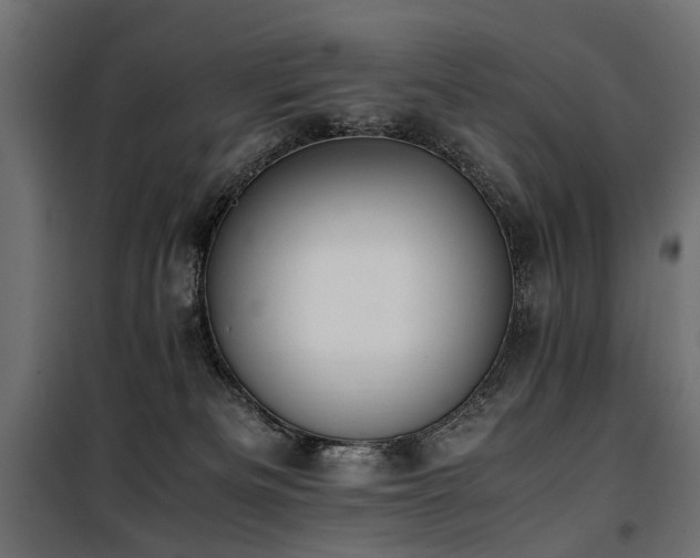 X0000100760133200806191216