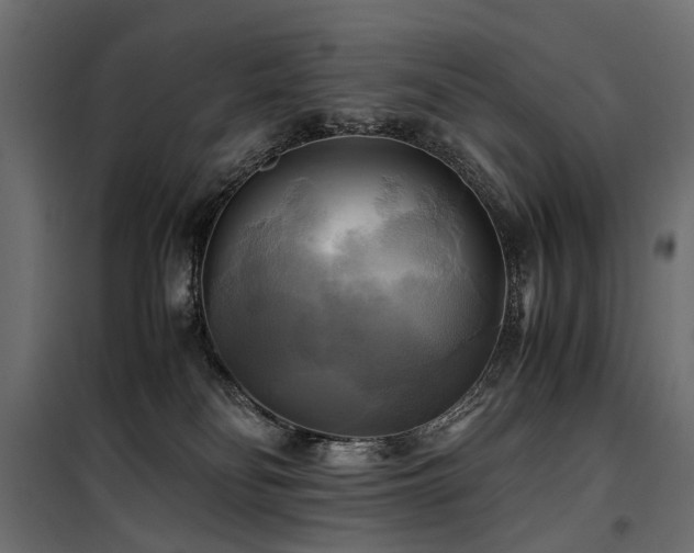 X0000100760134200806191216