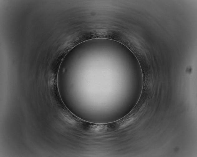 X0000100760135200806191216