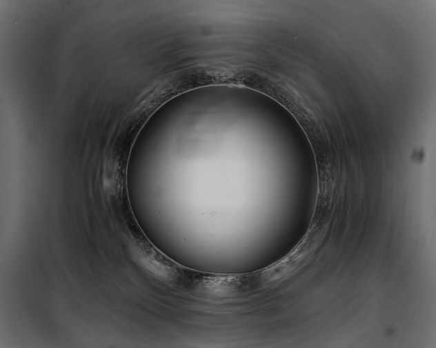 X0000100760136200806191216