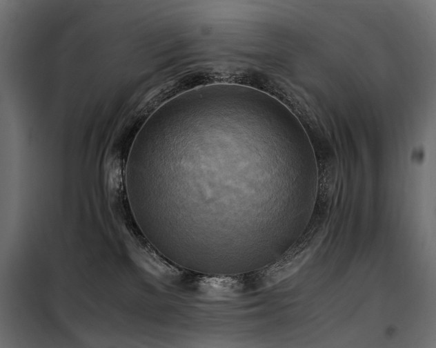 X0000100760137200806191216