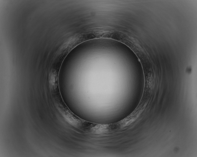 X0000100760138200806191216