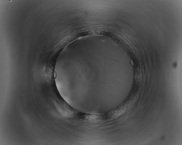 X0000100760139200806191216