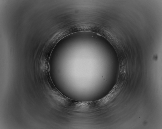 X0000100760140200806191216