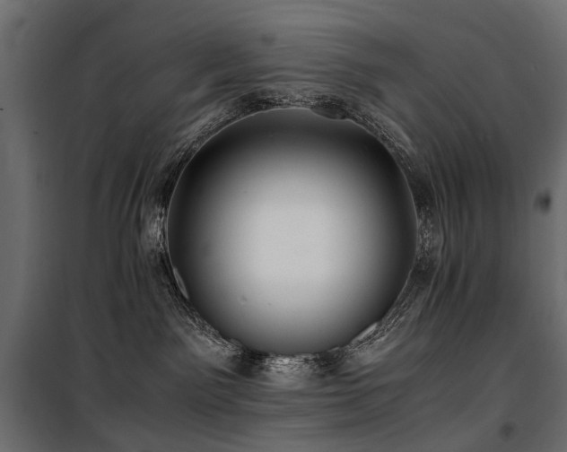 X0000100760141200806191216