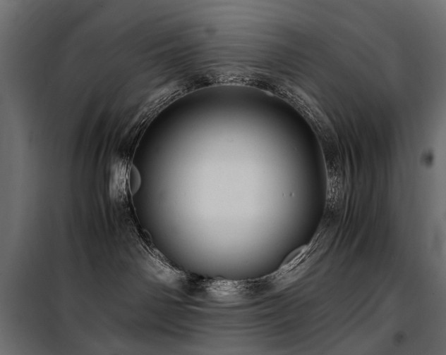 X0000100760142200806191216