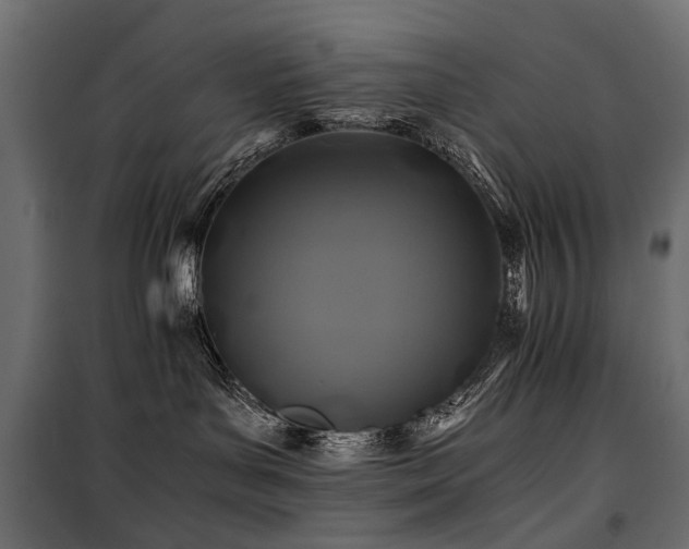 X0000100760143200806191216