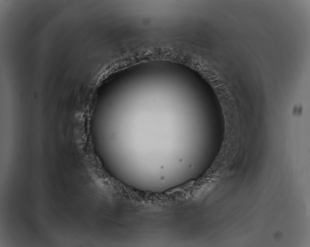 X0000100760144200806191216