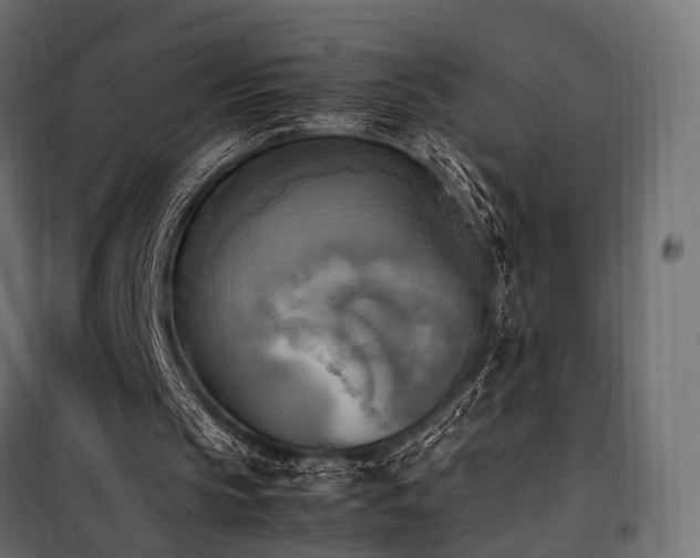 X0000100760145200806191216