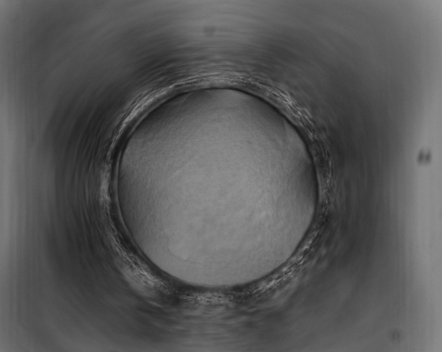 X0000100760146200806191216