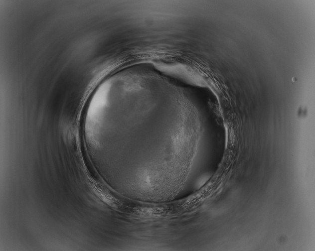 X0000100760147200806191216