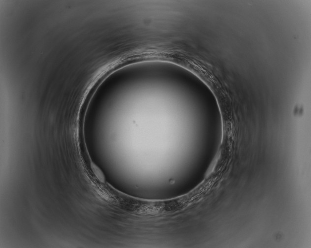 X0000100760148200806191216