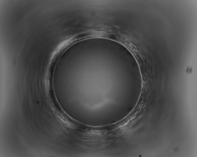 X0000100760149200806191216