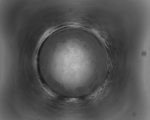 X0000100760151200806191216