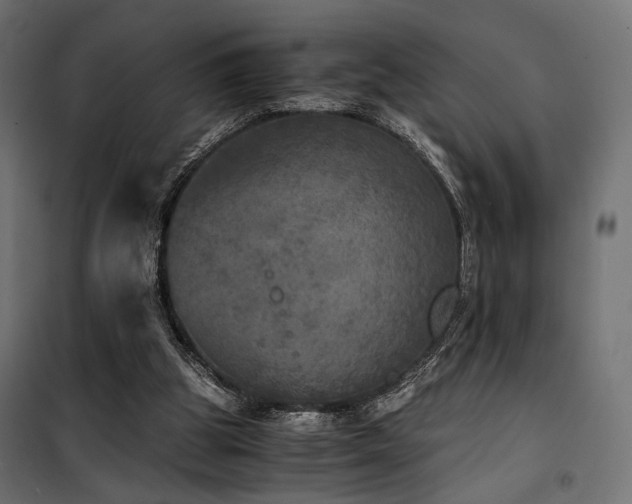 X0000100760153200806191216