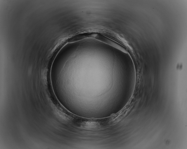 X0000100760154200806191216