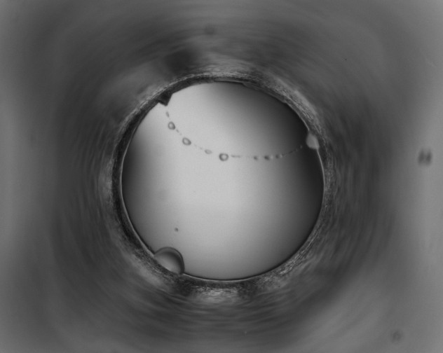 X0000100760155200806191216