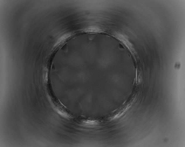 X0000100760157200806191216