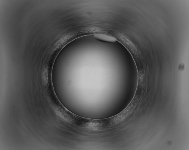 X0000100760158200806191216