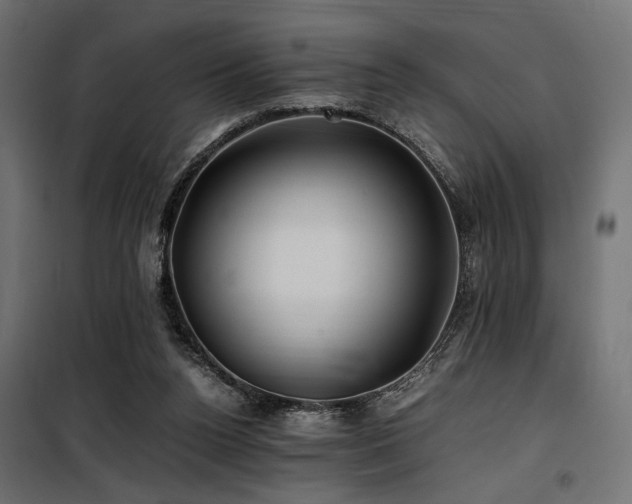 X0000100760160200806191216