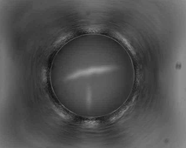 X0000100760161200806191216