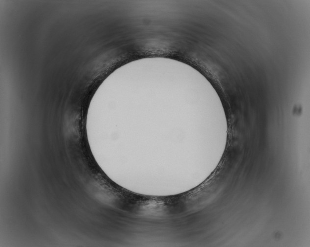 X0000100760162200806191216