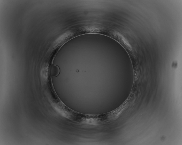 X0000100760163200806191216