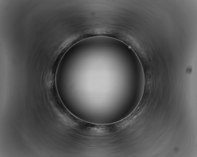 X0000100760164200806191216