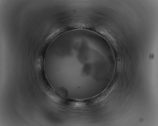 X0000100760165200806191216