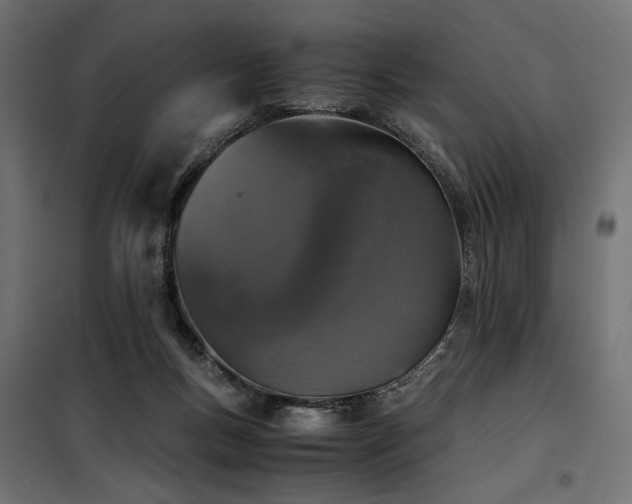 X0000100760167200806191216