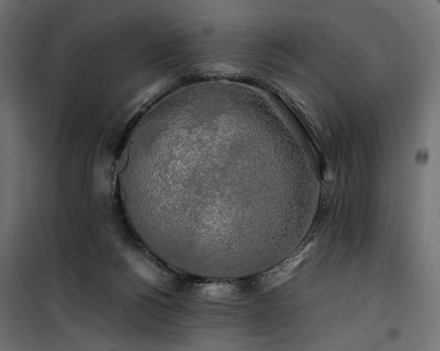 X0000100760168200806191216