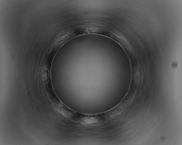 X0000100760169200806191216