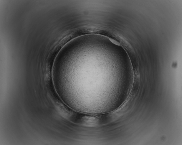 X0000100760170200806191216