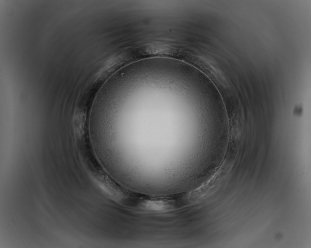 X0000100760171200806191216