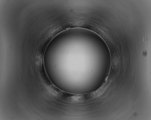 X0000100760172200806191216