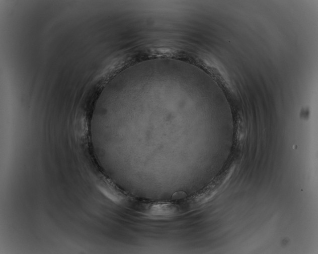 X0000100760173200806191216