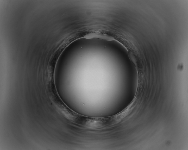 X0000100760174200806191216