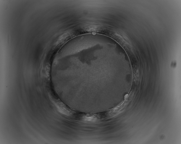 X0000100760175200806191216