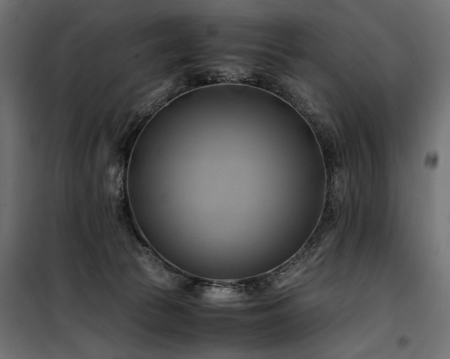 X0000100760177200806191216