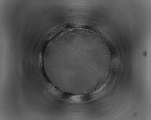 X0000100760178200806191216