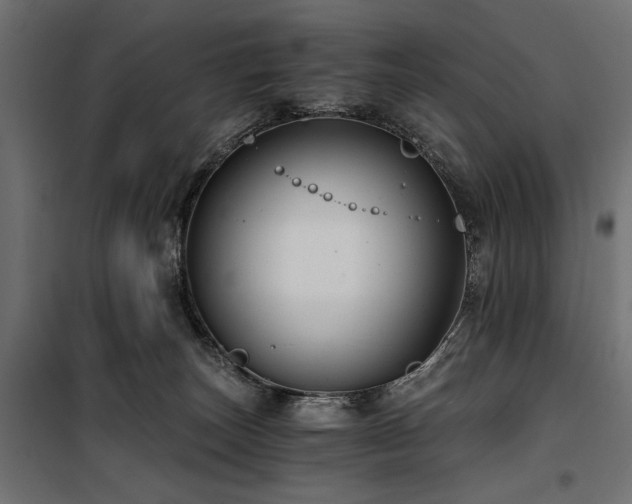 X0000100760179200806191216