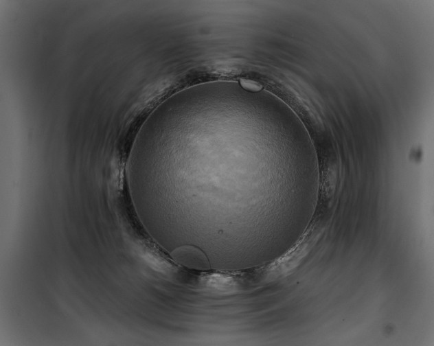 X0000100760180200806191216