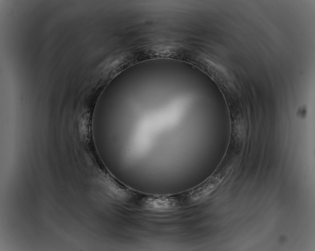 X0000100760181200806191216